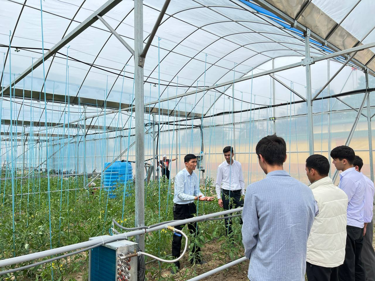 Blog Images