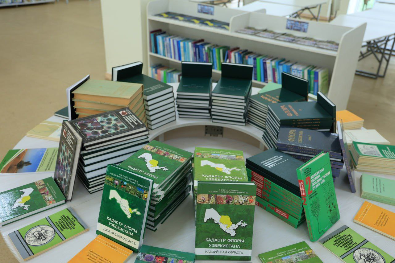 Blog Images
